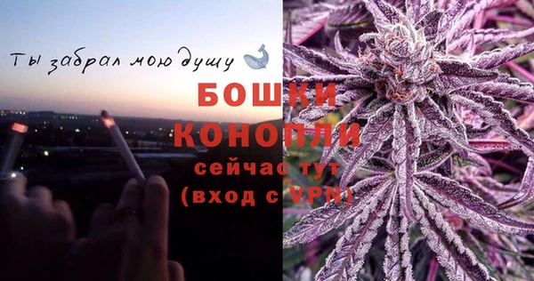 экстази Горняк